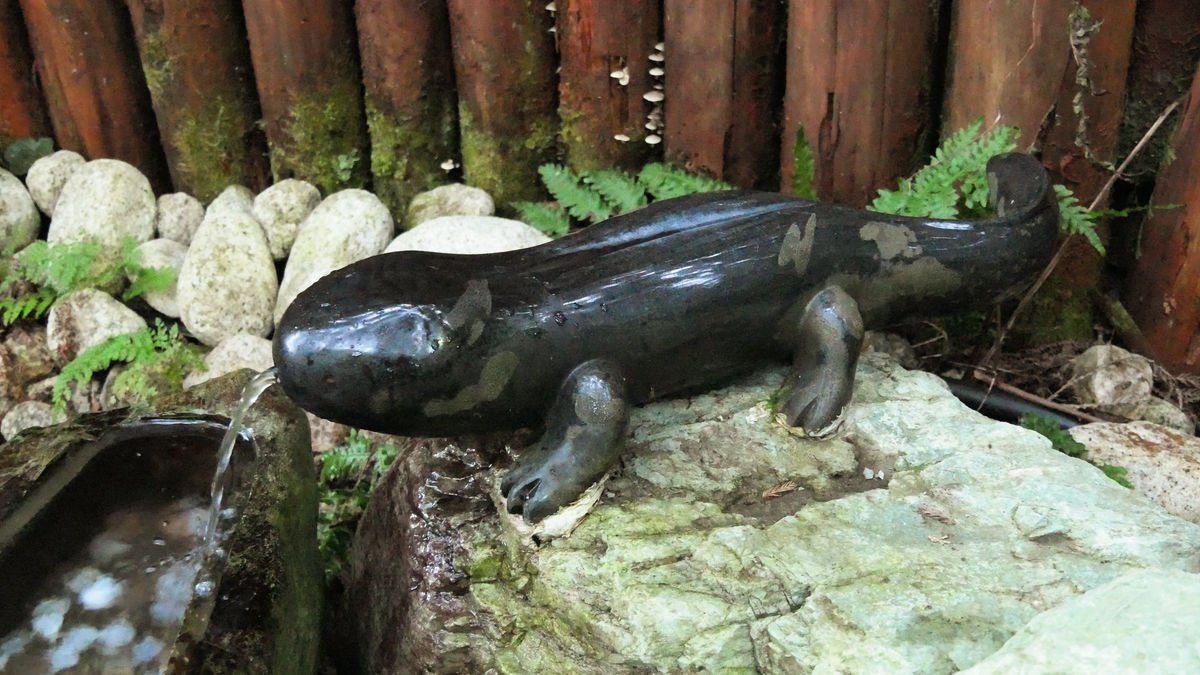 🏞️ 아유미자키 공원 (歩崎公園) 이미지 7